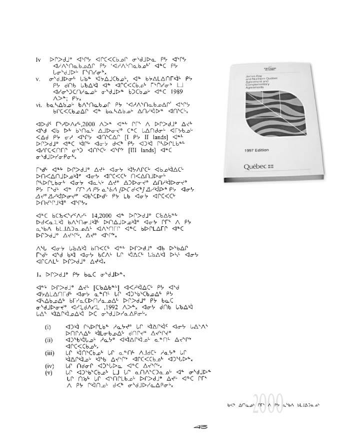 10675 CNC Annual Report 2000 NASKAPI - page 45